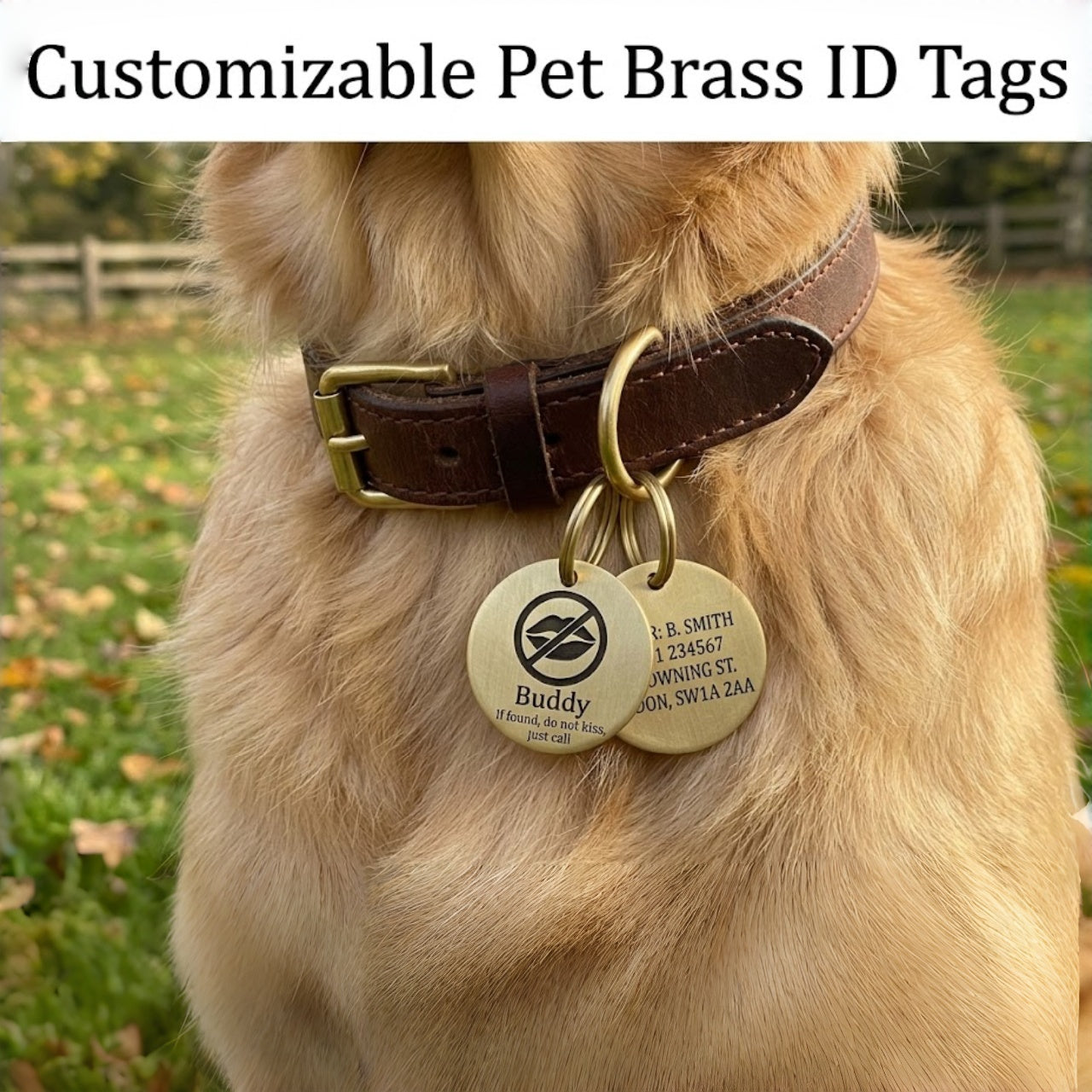 Personalized Deep Engraved Pet ID Tag | Double-Sided Copper & Brass Nameplate