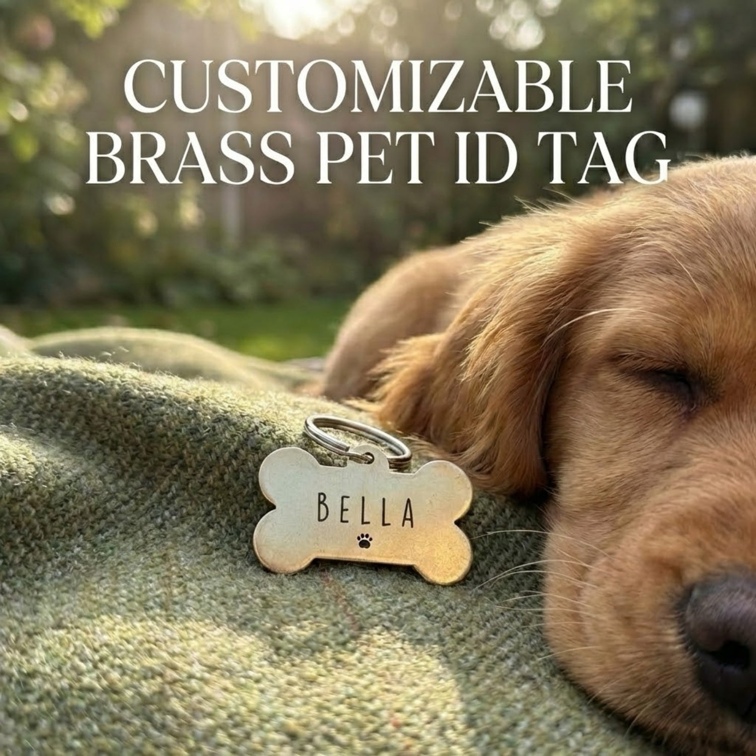 Personalised Deep Engraved Solid Brass Pet ID Tag | Bespoke Logo & Text Design | Snuggle Snout